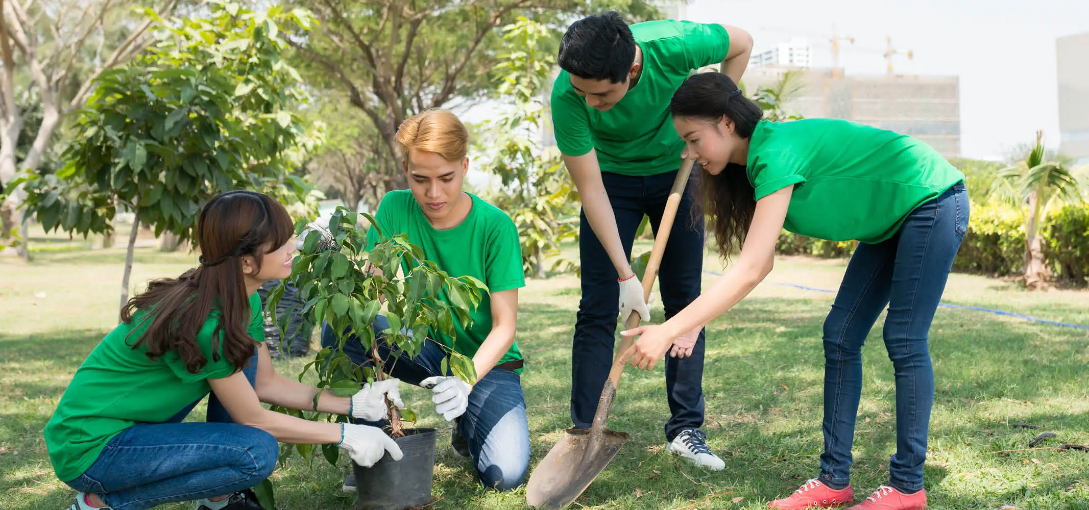 A corporate tree plantation drive at a campus