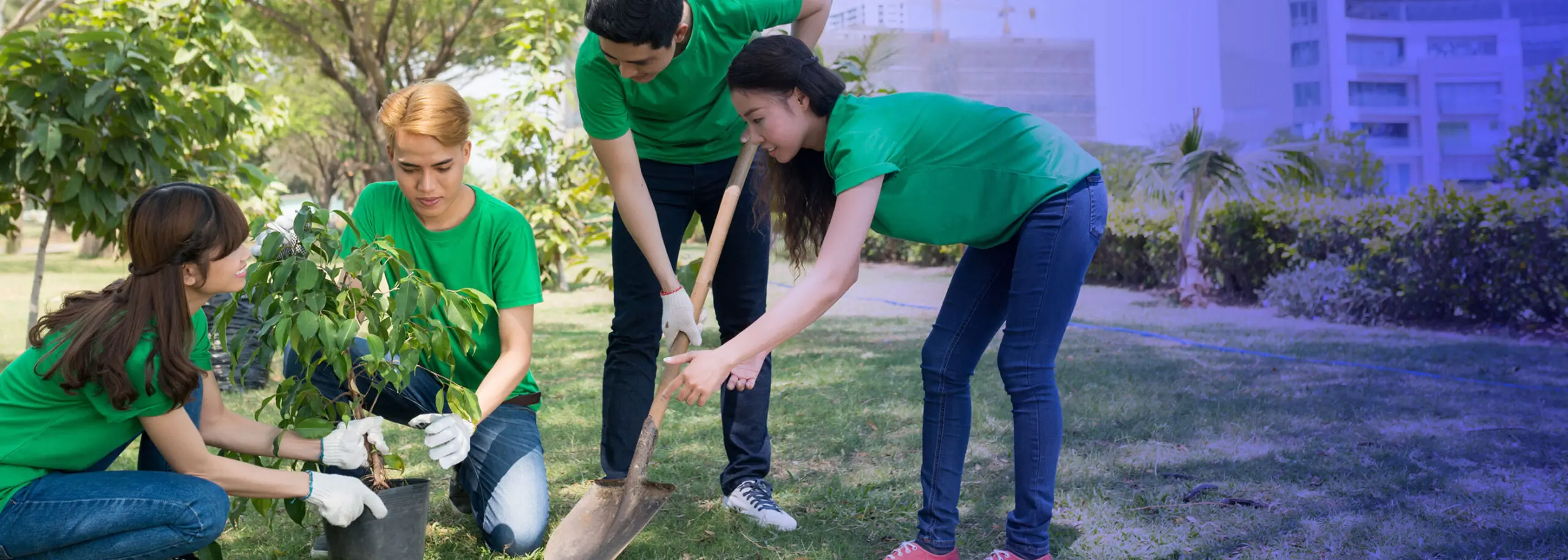 A corporate tree plantation drive at a campus